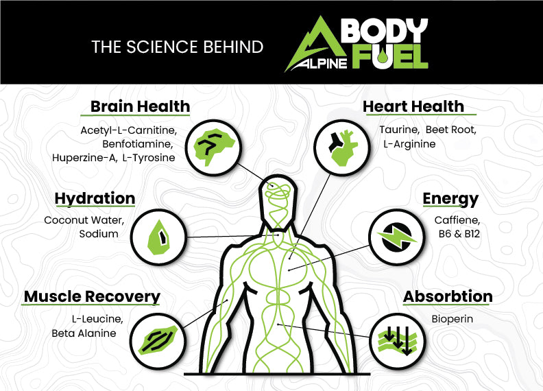Body Fuel Sampler 3 Pack